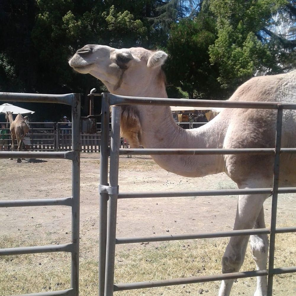 Meet your Posher, Paulette